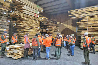 Studierende stehen mit orangenen Warnwesten im Sägewerk
