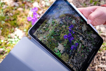 Studierende hält ein Tablet mit einem Foto einer Pflanze in die Kamera