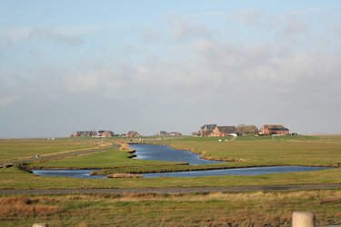 Blick über die Hallig Hooge und derren roten Häuser in der Ferne