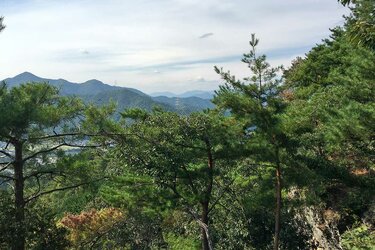 Landschaftsfoto von einer bewaldeten Bergkette in Japan