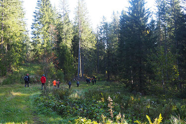 Studierende laufen durch einen Wald