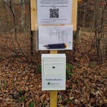 Der Waldbriefkasten mit analogen Umfragebögen und QR-Code soll alle Waldbesuchergruppen ansprechen.