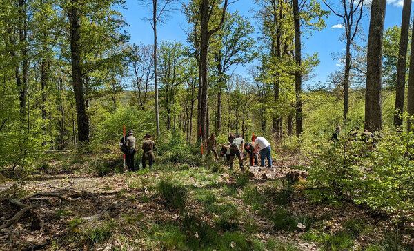 Teilnehmer mit Fluchtstäben im Wald