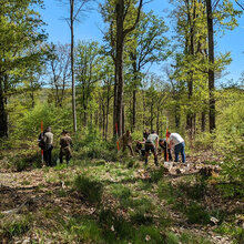 Teilnehmer mit Fluchtstäben im Wald