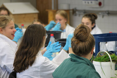 6 Schülerinnen sitzen gemeinsam an einem Tisch im Labor und experimentieren