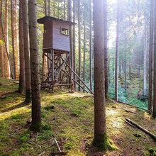 Hochsitz im Wald