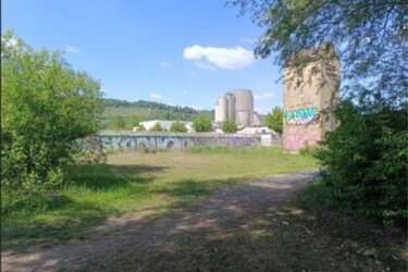  Heutige Situation eines Standortes für ein mögliches Strandbad an der nördlichen Seite des Baggersees Hirschau.