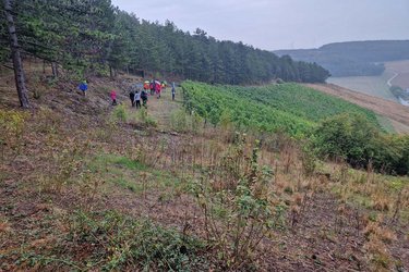 Studiernde laufen an einem Hang am Waldrand entlang