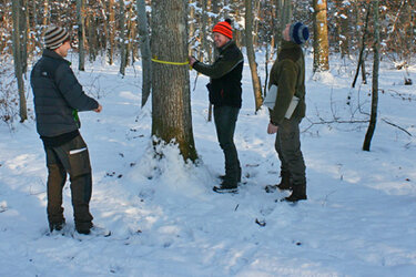 Studierende bei Waldbauübung im Winter