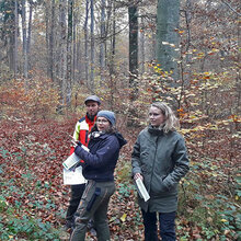 Drei Studierende im Wald