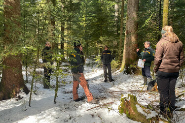 Der Dozent steht mit den Studierenden im Waldbestand. 