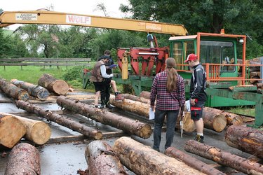 Studierende im Sägewerk