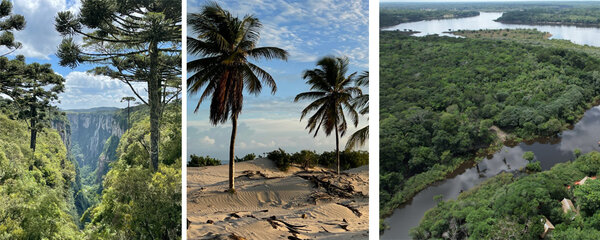 Collage: Blick in eine Schlucht. Blick auf Palmen im Sand. Blick von oben auf ein Waldgebiet mit Fluss.