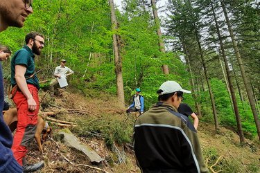 Teilnehmer stehen in einem Wald