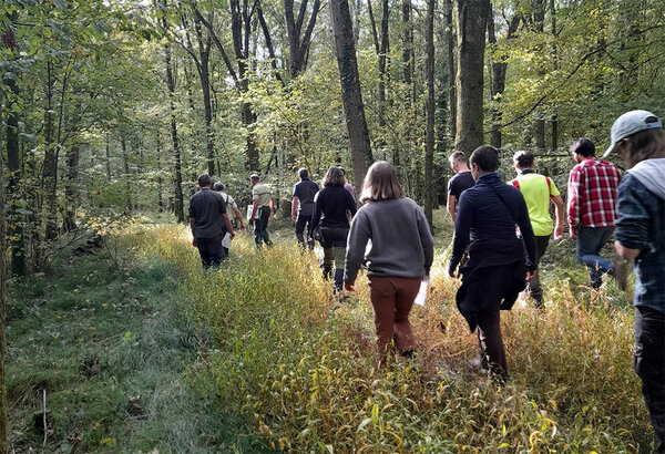 Studierende laufen durch einen Laubwald