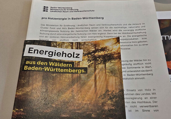 Foto des Positionspapier "pro Holzenergie in BW"
