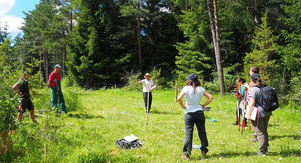 Studierende auf einer Freifläche im Wald mit Fluchtstäben