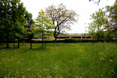Blick auf Bäume und die Blumenwiese im Arboretum. Im Hintergrund der Kienzle-Bau.
