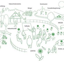 DIANA – Im Dialog zu neuen Angeboten für Waldbesitzende