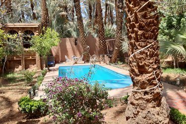 Blick auf einen Pool zwischen Palmen