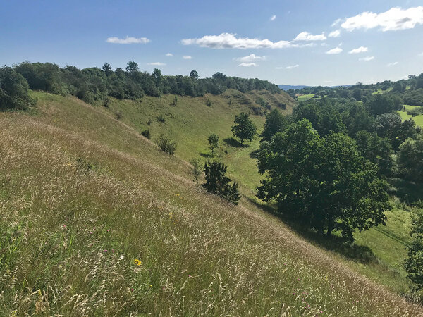 Blick auf das Naturschutzgebiet Kochhartgraben