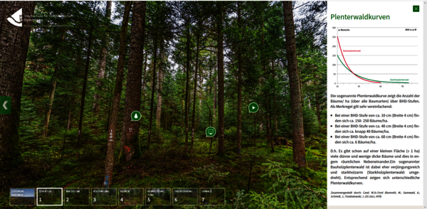 Screenshot der Webanwendung "Digitaler Wald" 