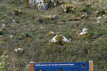 Die neue Schautafel informiert über besondere Waldschmetterlinge im Tiefental.