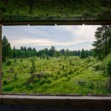 Blick aus einem Hochsitz in den Wald