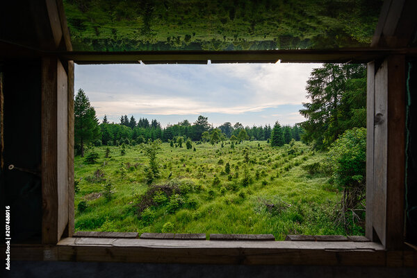 Blick aus einem Hochsitz in den Wald