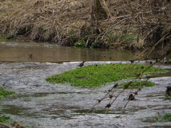 Blick auf einen Fluss