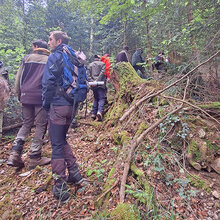 Studierende laufen einen steilen Hang im Wald hoch
