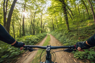 Blick auf einen Waldweg aus der Sicht eines Mountainbikefahrers über den Lenker hinweg