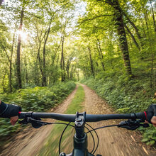 Blick auf einen Waldweg aus der Sicht eines Mountainbikefahrers über den Lenker hinweg