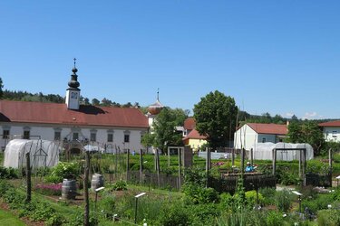 Blick auf einen Gemüsegarten