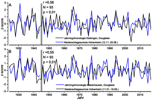  Grafik: Vorstudie - Klimasensitivität der Douglasie in Kiebingen (A) und Bebenhausen (B). Tägliche Niederschlagsdaten zwischen 1924-2017 einer nahen Klimastation (Hohenheim) wurden zur Berechnung verwendet