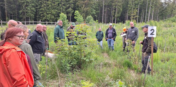 Die Teilnehmer stehen auf eine Freifläche im Wald
