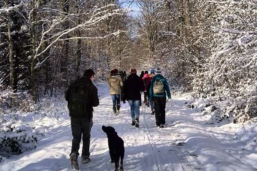 Die Exkusrionsteilnehmer laufen durch einen verschneiten, sonnigen Winterwald