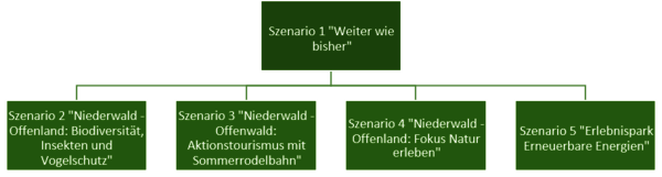 Grafik: Darstellung der Szenarien. Szenario 1 "Weiter wie bisher". Szenario 2 "Niederwald - Offenland: Biodiversität - Insekten- und Vogelschutz". Szenario 3 "Niederwald - Offenland: Aktionstourismus mit Sommerrodelbahn". Szenario 4 "Niederwald - Offenland: Fokus Naturerleben". Szenario 5 "Erlebnispark erneuerbare Energien"