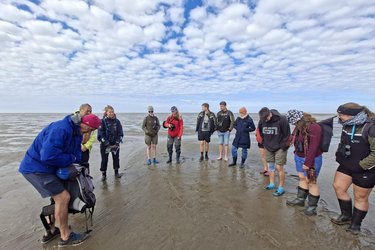 Studierende stehen als Gruppe im Watt
