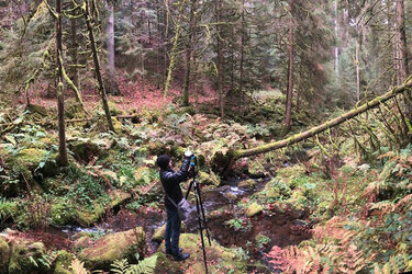 Person mitten im Wald mit einer 3-D-Kamera auf dem Stativ