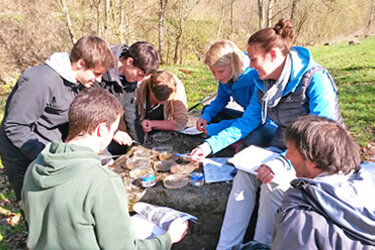 Studierende untersuchen Wasserproben beim Methodenkurs. Katzenbach Bad Niedernau