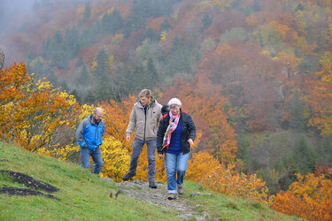 Die teilnehmer wandern auf einem schmalen Pfad. Im Hintergrund herbstlich gefärbter Wald