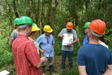 Personen mit Schutzhelmen stehen im Wald und hören einem Referenten zu