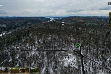 Screenshot der Webanwendung "Digitaler Wald" 