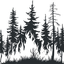 S/W-Grafik eines Waldbranntes