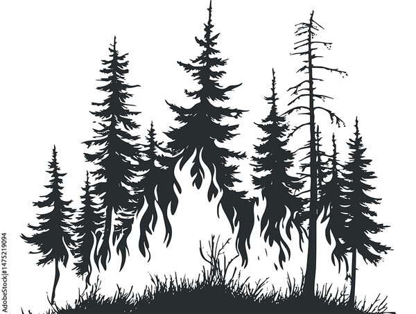 S/W-Grafik eines Waldbranntes