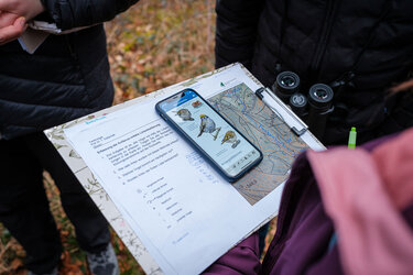 Blick auf ein Schreibbrett. Darauf liegen eine ausgedruckte Karte und ein Smartphone, in welchem eine Bestimmungs-App für Vögel geöffnet ist