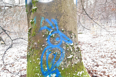 Geschützter Baum mit aufgesprühten Specht-Symbol