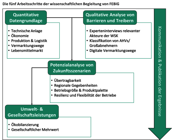 Die fünf Arbeitschritte derwissenschaftlichen Begleitung von FEBiG