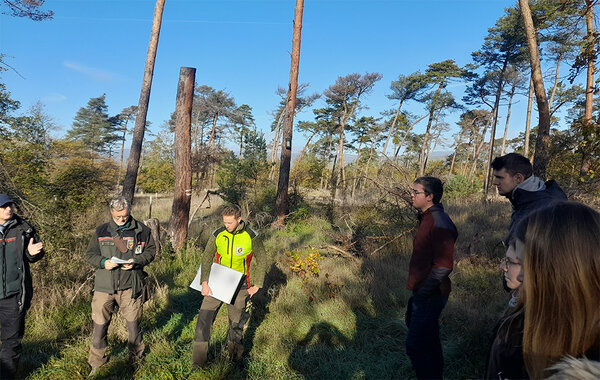 Studierende stehen bei sonnigen Wetter im Wald. Forstamtsleiter Wolfgang Vogt, Revierleiter Stefan Dorschel und Ranger Fabian Emde erläutern den Master-Studierenden der HFR den Lebensraumtyp der Sarmatischen Steppenkiefernwälder und die Maßnahmen zu dessen Wiederherstellung.